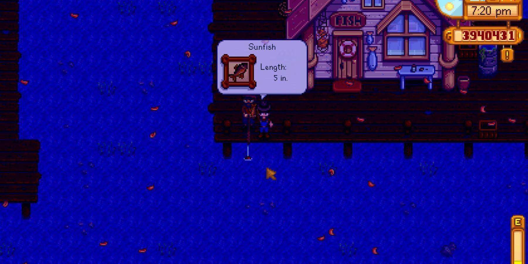 Stardew Valley fish guide