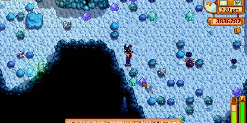  bat wings stardew valley