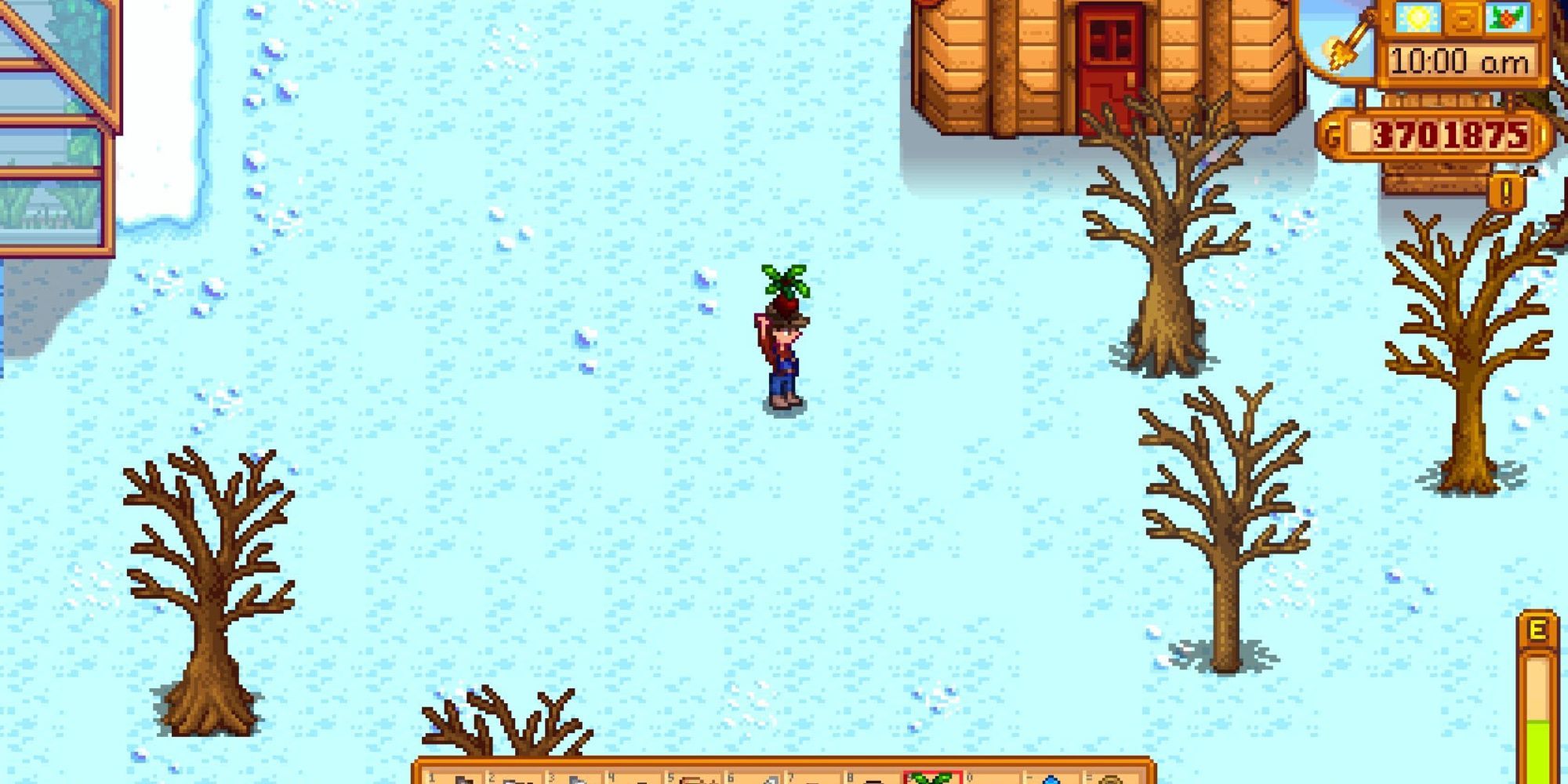 how to get beets in stardew valley