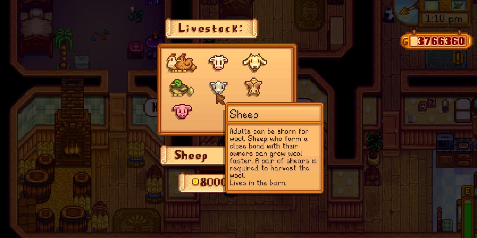 Stardew valley how to get sheep