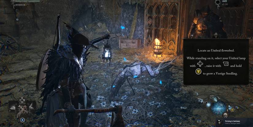 how to plant a vestige seed in lords of the fallen