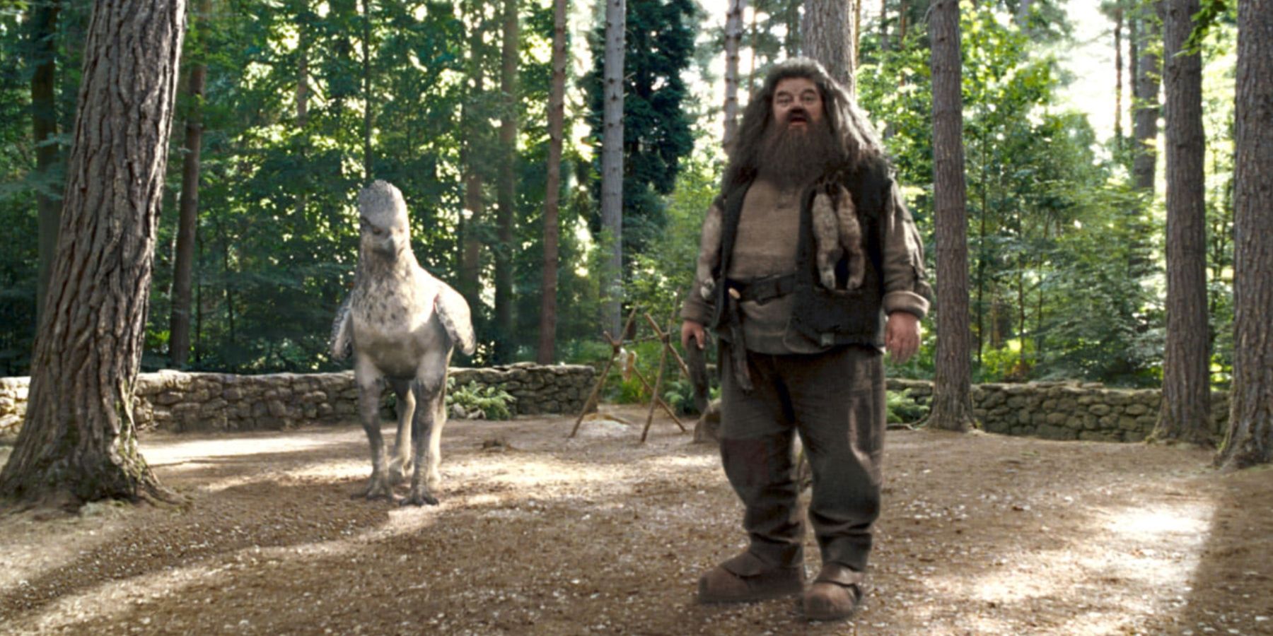 hp-hagrid-buckbeack