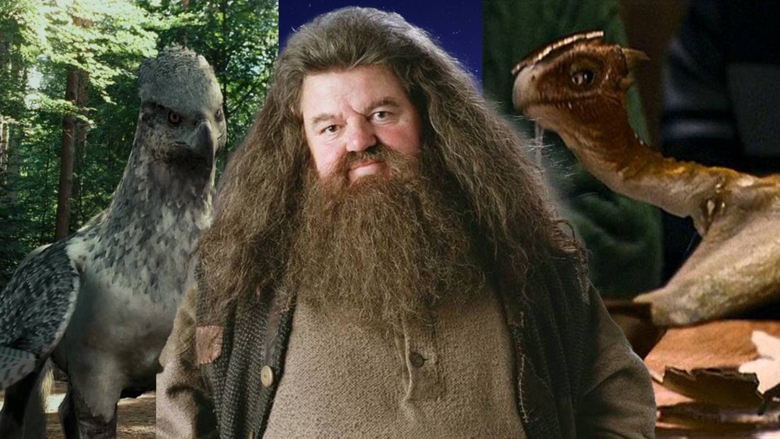 hp-hagrid-pets-thumbnail