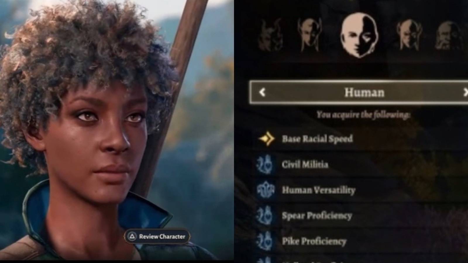 human build baldur's gate 3 