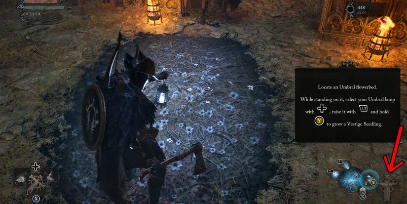 interact with vestige seed in lords of the fallen