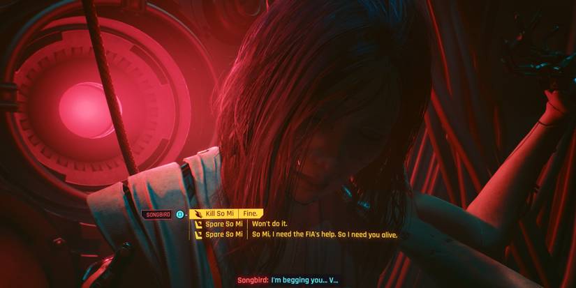 kill or spare songbird