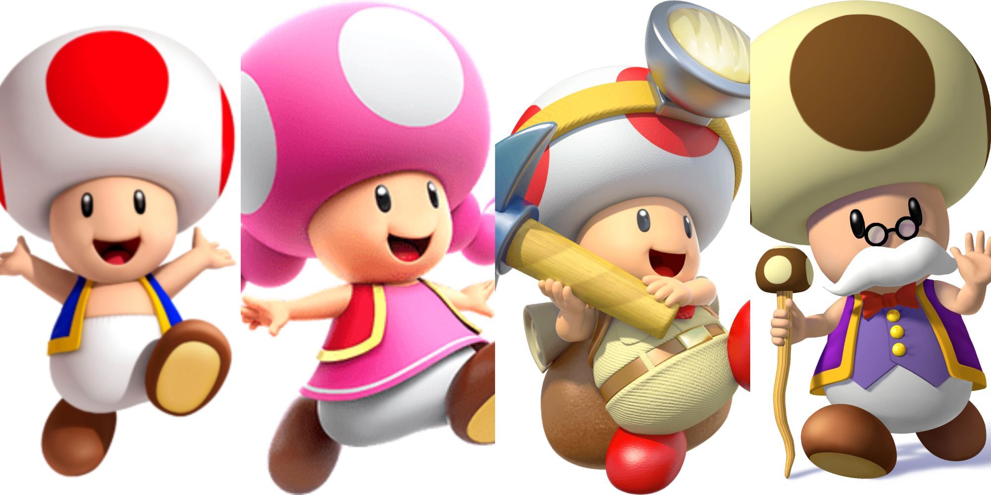 Mario's Toad, Toadette, Captain Toad and Toadsworth