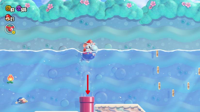 mario wonder robbird cove collectibles