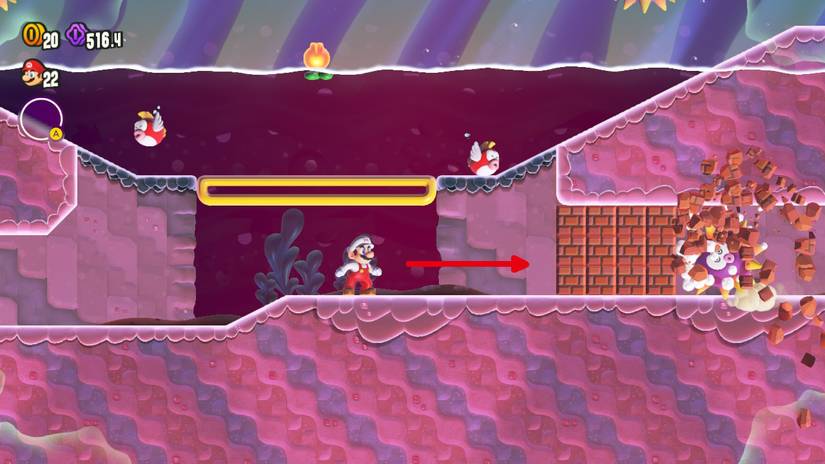 mario wonder robbird cove collectibles