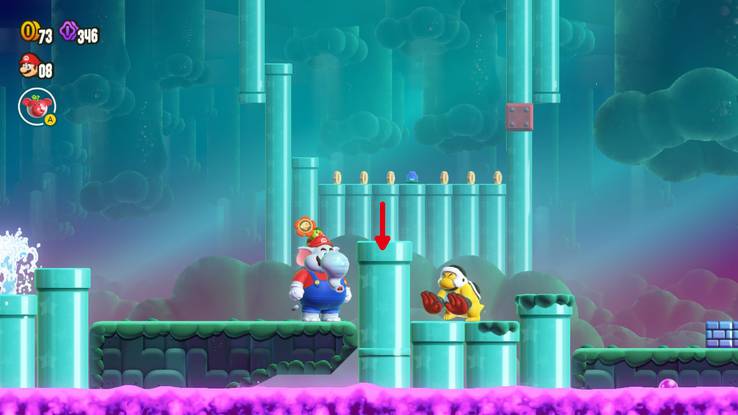 "Super Mario Bros. Wonder: Guía Completa del Curso 100% en la Travesía por Tuberías del Pantano (Todas las Semillas Maravilla y Monedas Flor)"