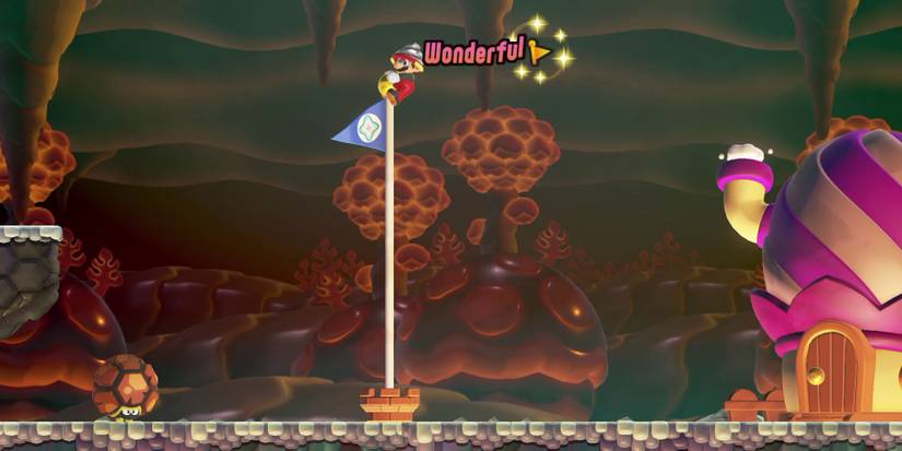 mario-wonder-where-the-rrrumbas-rule-wonder-seed-2