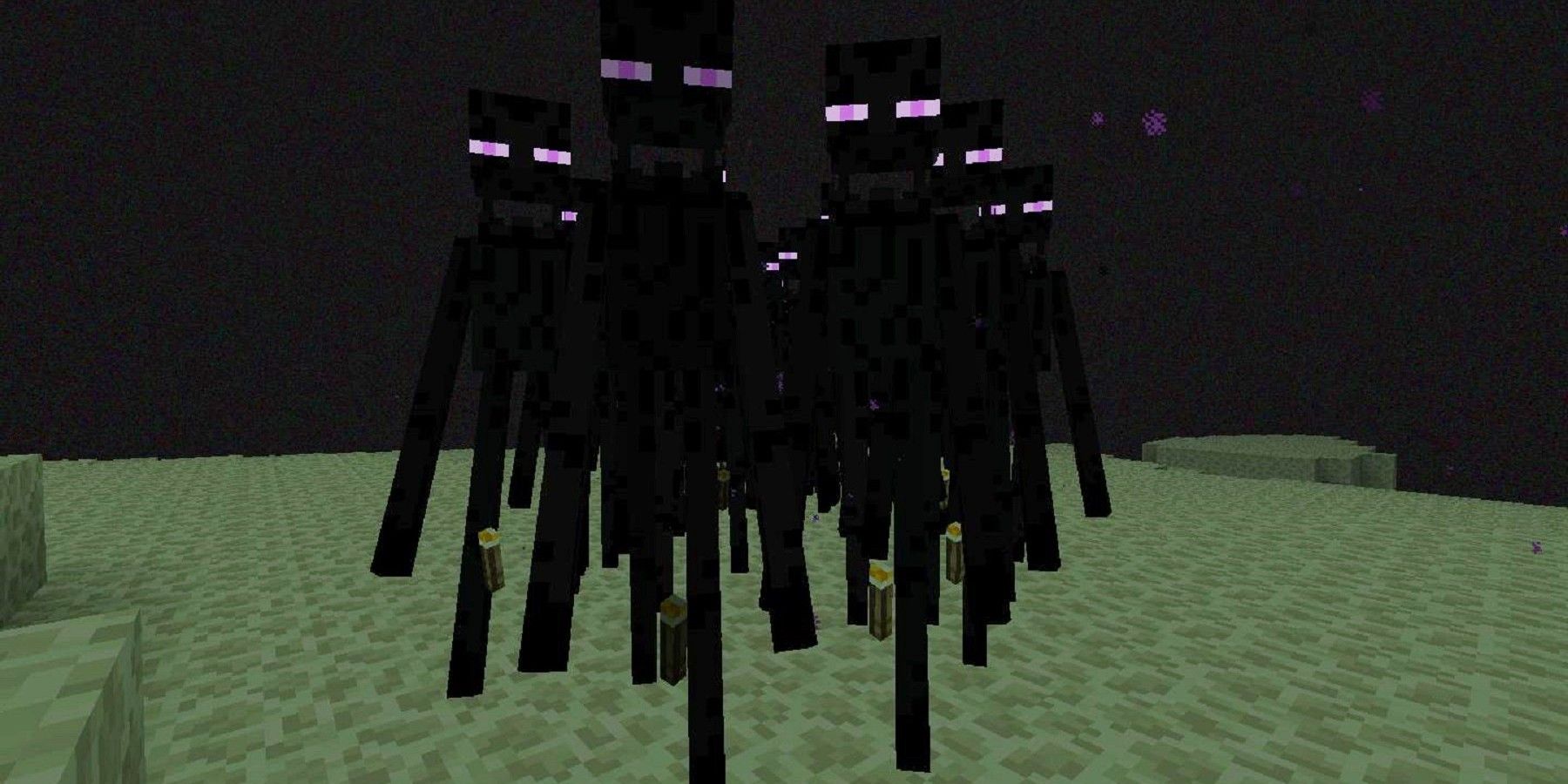 Minecraft Mod Adds Incredible Biome-Specific Designs for Endermen