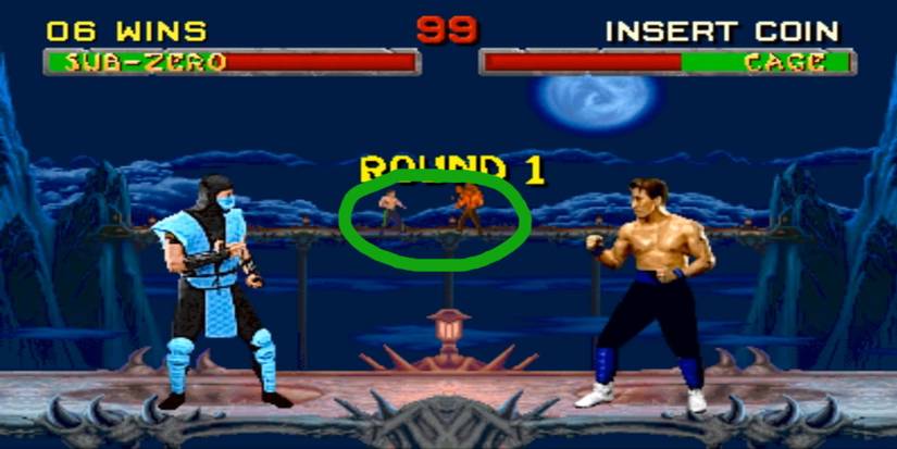The rumoured Hornbuckle and Torch (Circled) in the background of The Pitt from Mortal Kombat II, Sub-Zero and Johnny Cage are fighting