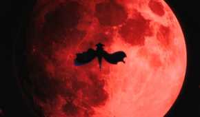 The Eminence in Shadow: Red Moon