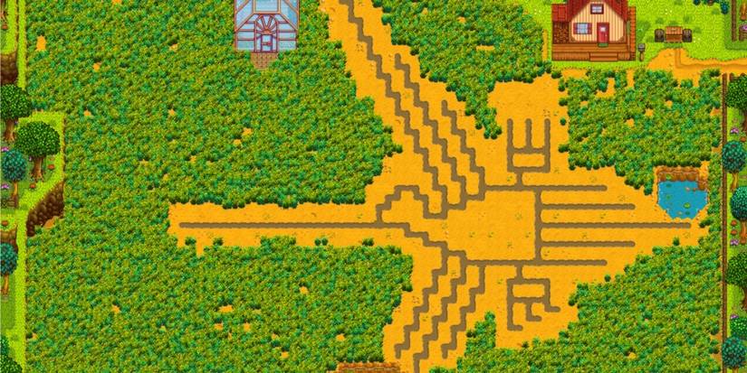 Stardew Valley Nazca Lines