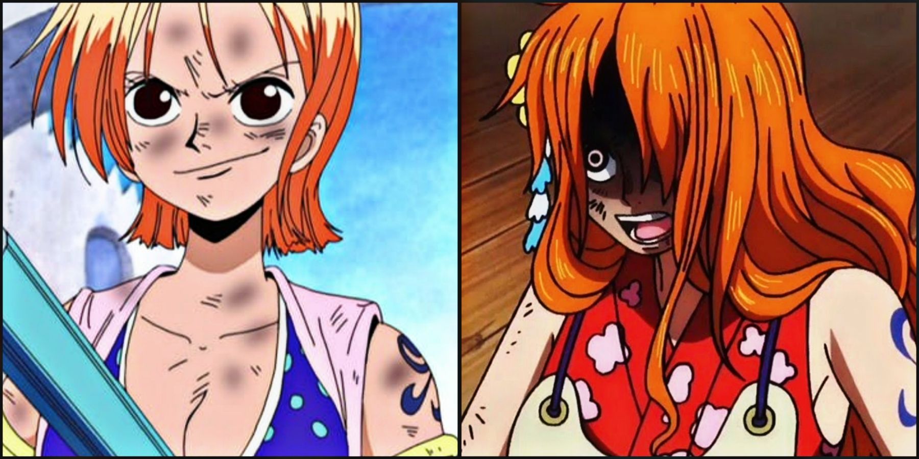 One Piece - Zeus scared of Nami 