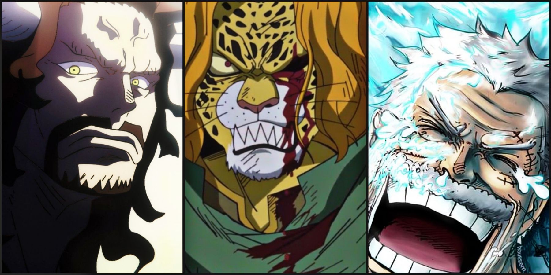 List of One Piece Characters Introduced by Year 