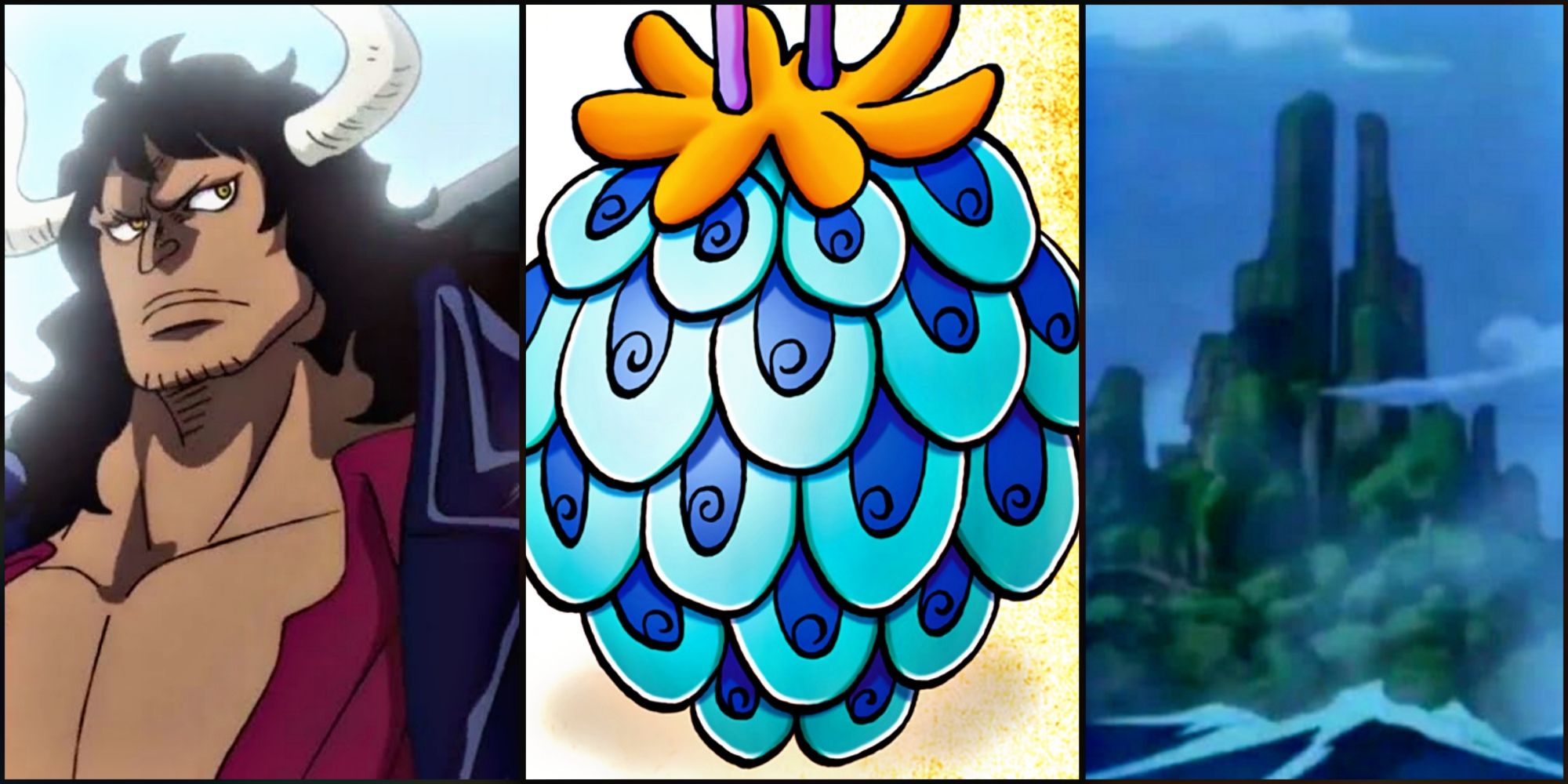 One Piece Kaido God Valley Devil Fruit