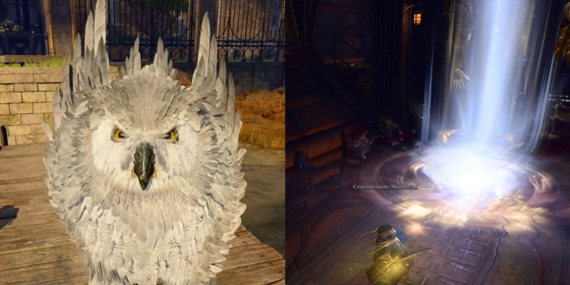 Owlbear and casting Moonbeam in Baldur's Gate 3