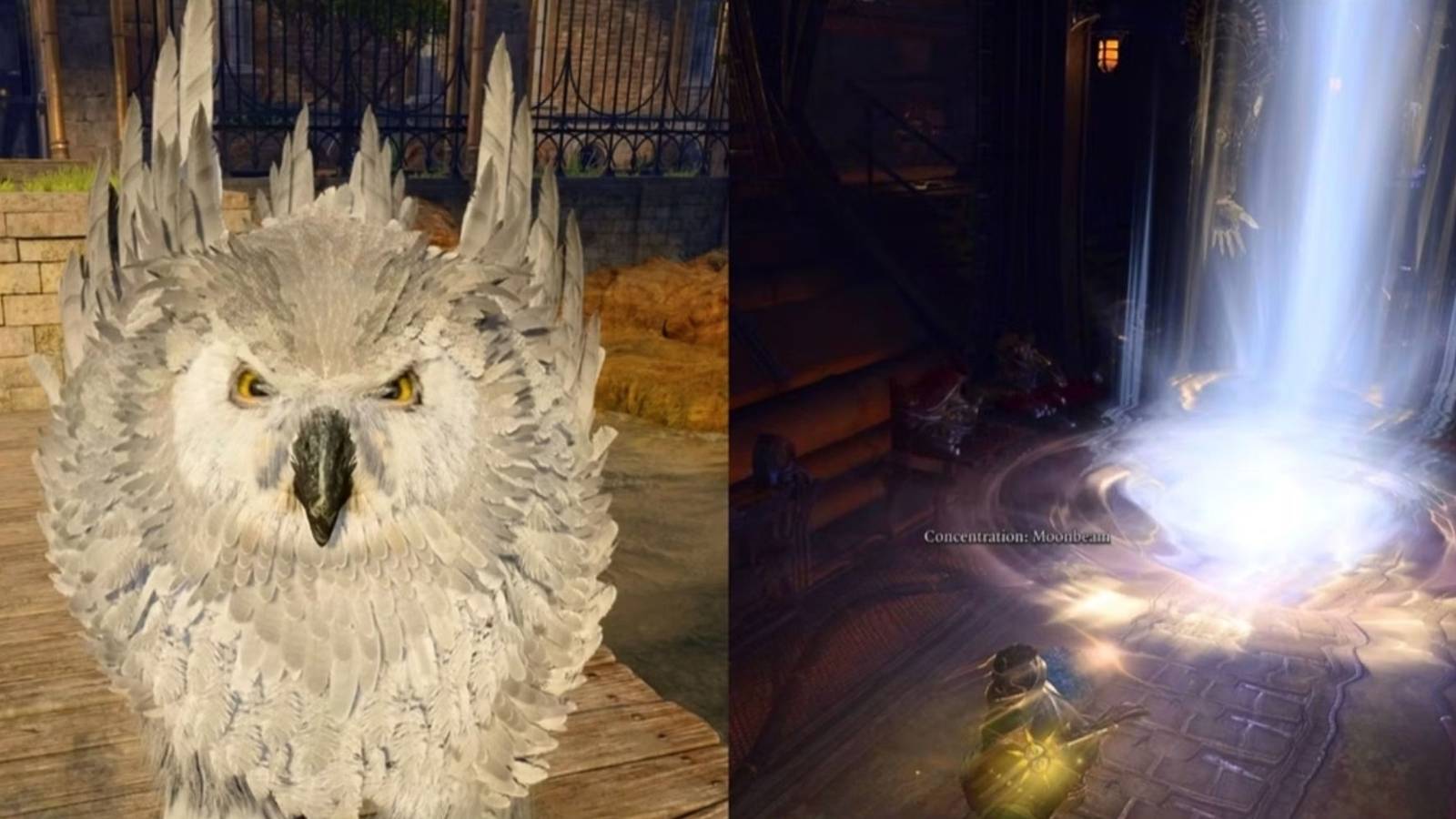 Owlbear and casting Moonbeam in Baldur's Gate 3