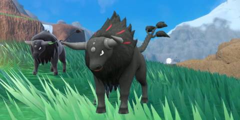 Paldean Tauros Blaze Breed In Pokemon Scarlet & Violet