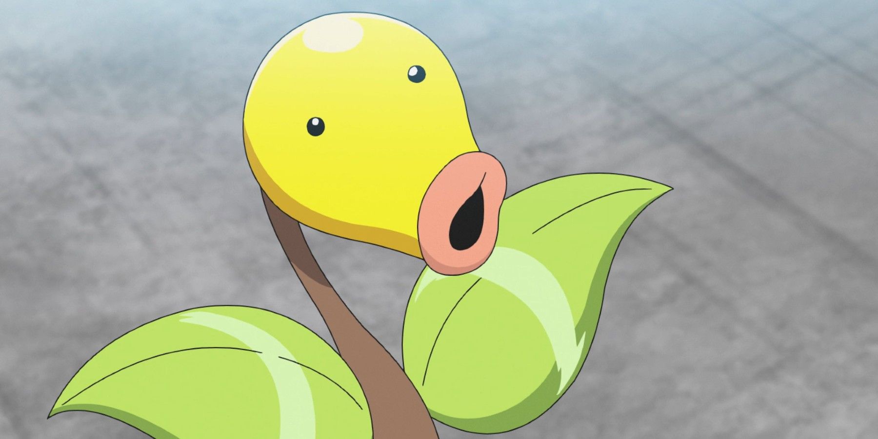 pokemon bellsprout