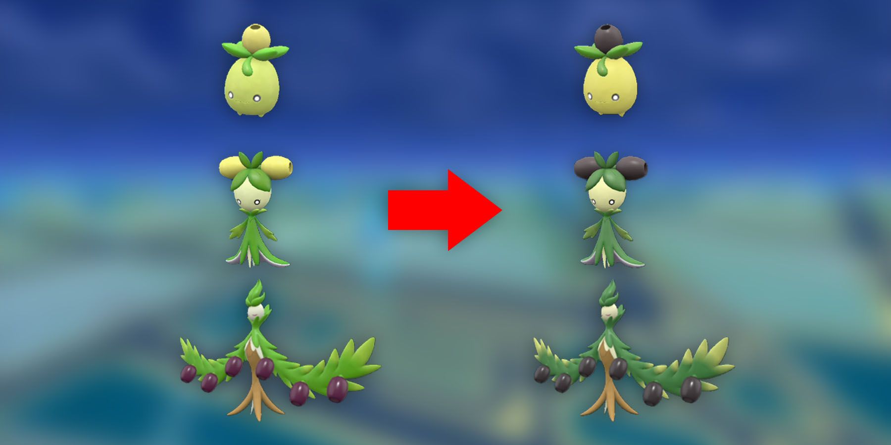 Pokemon GO: The Differences Between Regular Smoliv and Shiny Smoliv ...