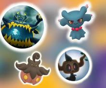 Pokemon Shiny Zorua - TRA'DE 20k Dust Registered Shiny Zorua GO Pokemon Shiny Zorua - TRA'DE 20k Dust Registered Shiny Zorua GO