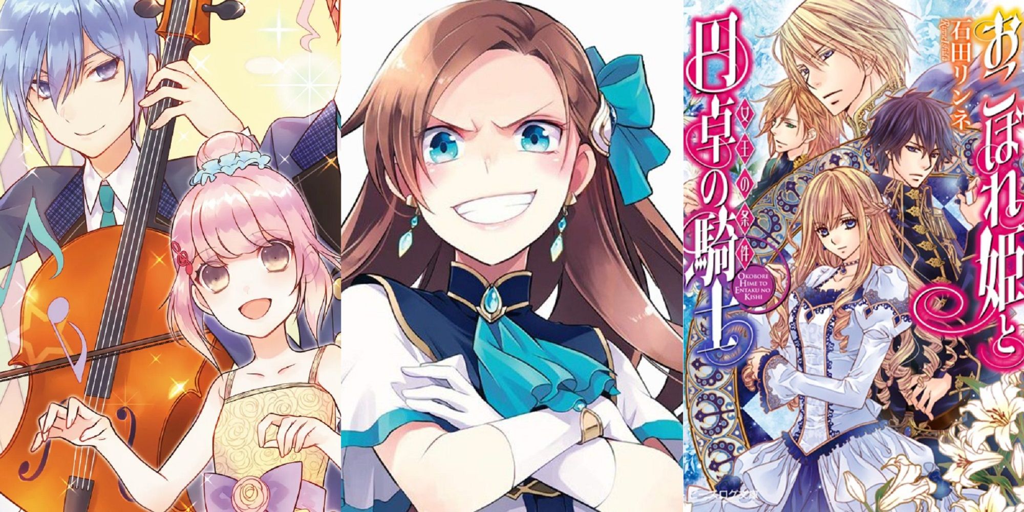 Best Harem Light Novels with No Anime Adaptations