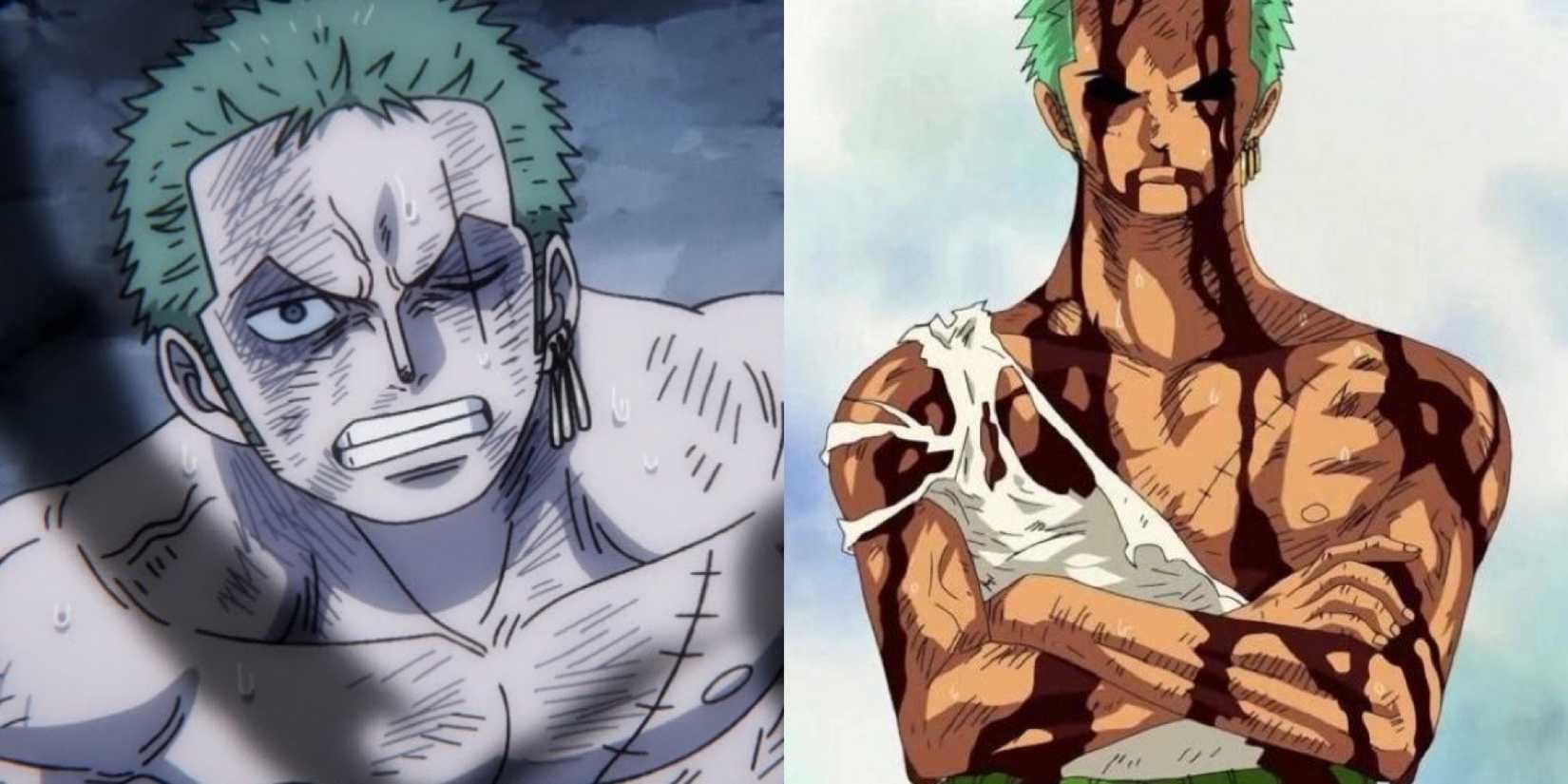 Roronoa zoro one piece (2)