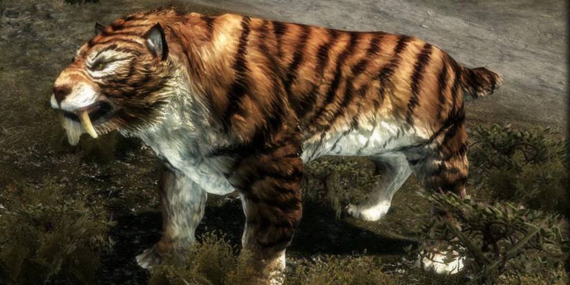 Sabretooth - the loyal Sabrecat Companion