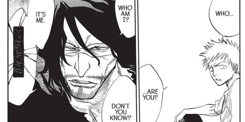 Ichigo Asking Zangetsu Who He Is
