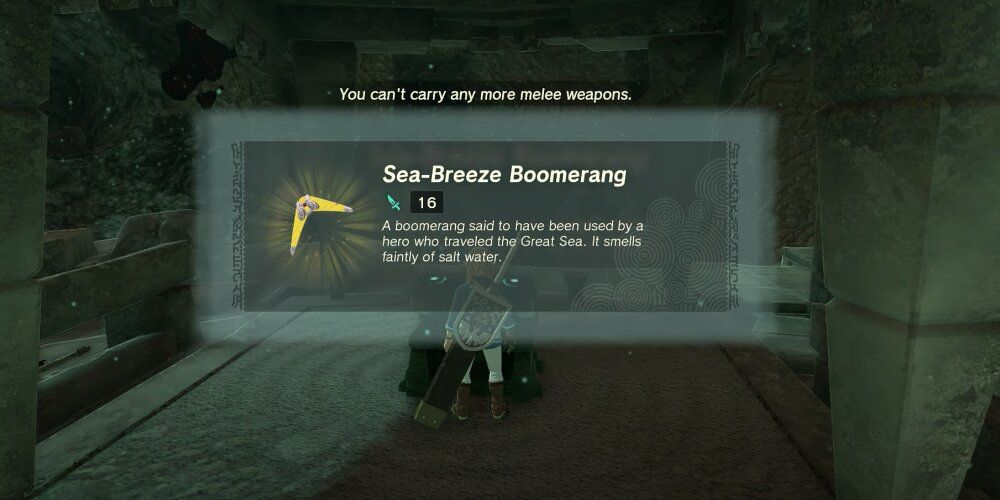 Sea-Breeze Boomerang