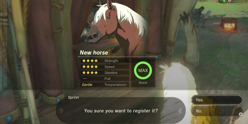 Epona Horse In Tears Of The Kingdom