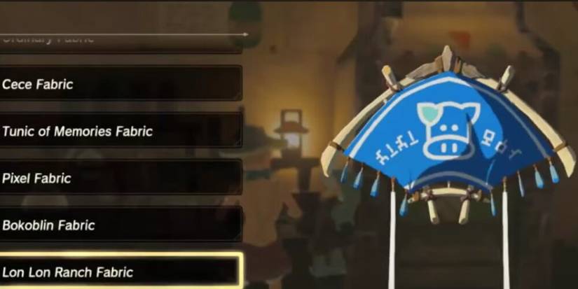 Lon Lon Ranch Paraglider Fabric