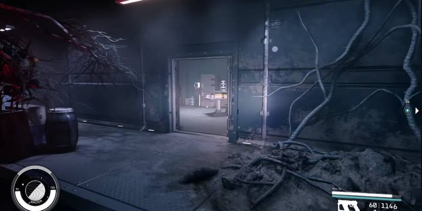 Room With Overgrown Stems And Branches Around The Walls