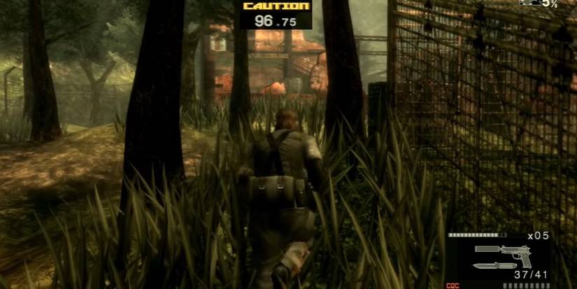 Snake Running Through Grass