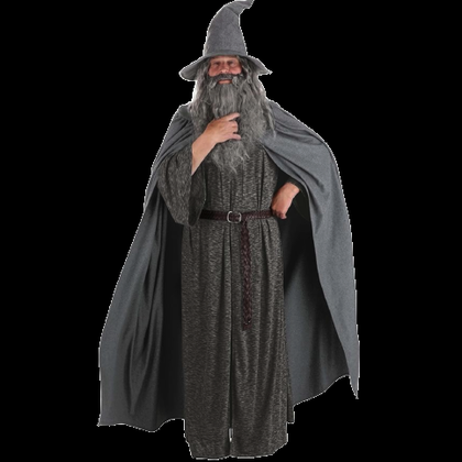 A person in a gray Gandalf costume