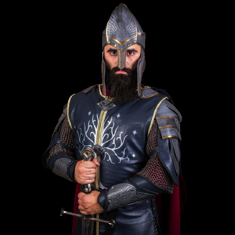 A person dressed in a King Aragorn costume