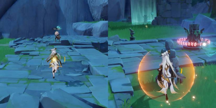 seelie location to unlock cecilia garden domain in genshin impact