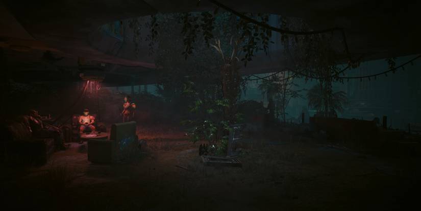 Songbird’s Comfort Place