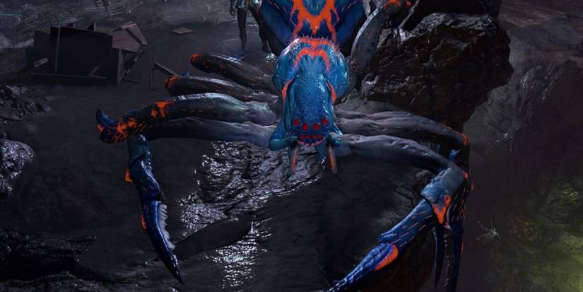 Spider Matriarch in Baldur’s Gate 3 