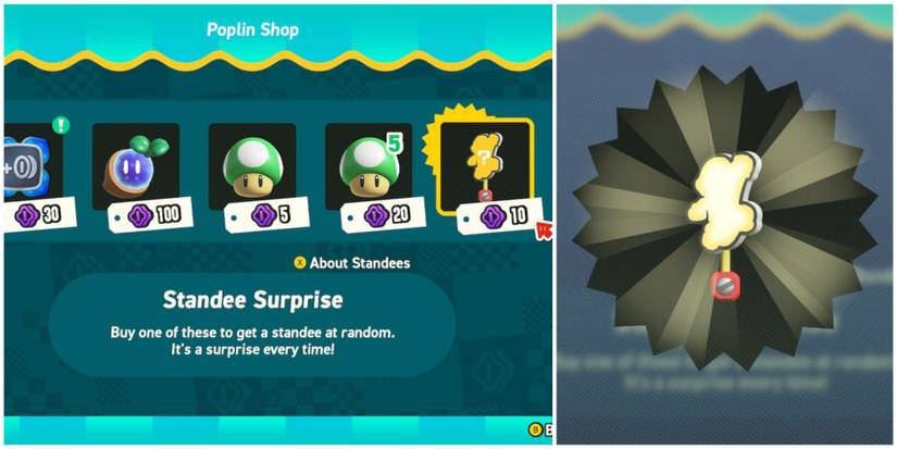 purchasing a surprise standee poplin shop