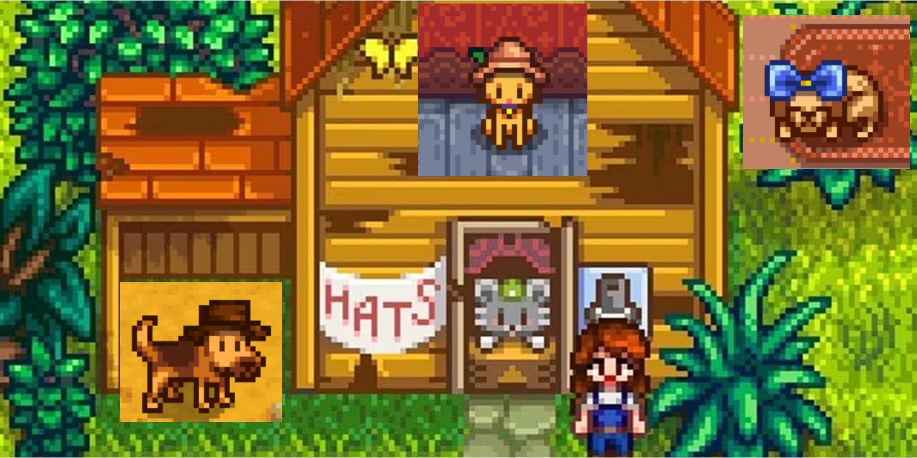 Stardew Valley Pets Getting Attention In An Update Has Been A Long Time  Coming