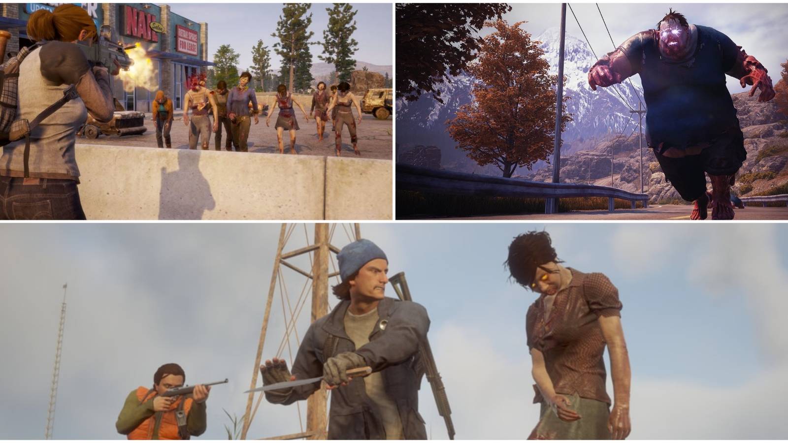 State of Decay 2