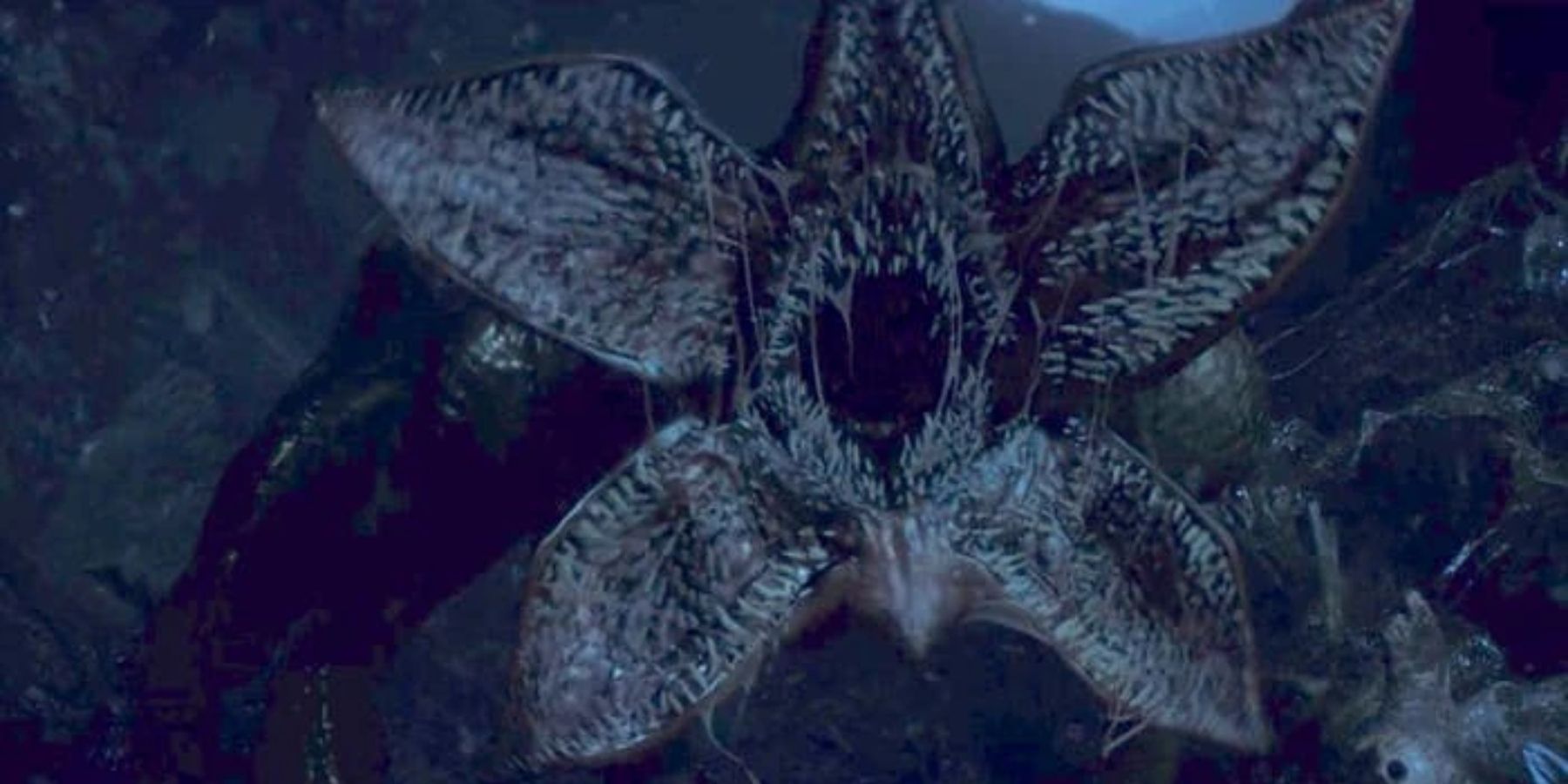 The Jaw-Dropping Fate of Dart in Stranger Things