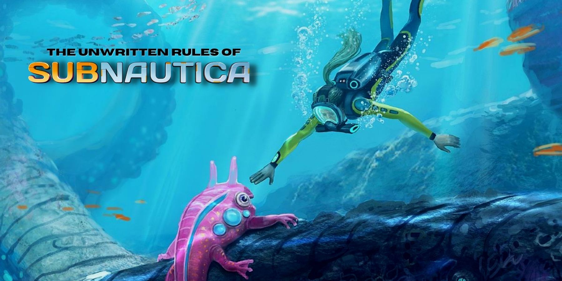 Subnautica Unwritten Rules