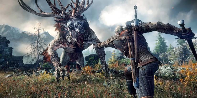 The Witcher 3 - Wild Hunt