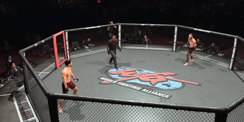 UFC 5 The WFA arena-1