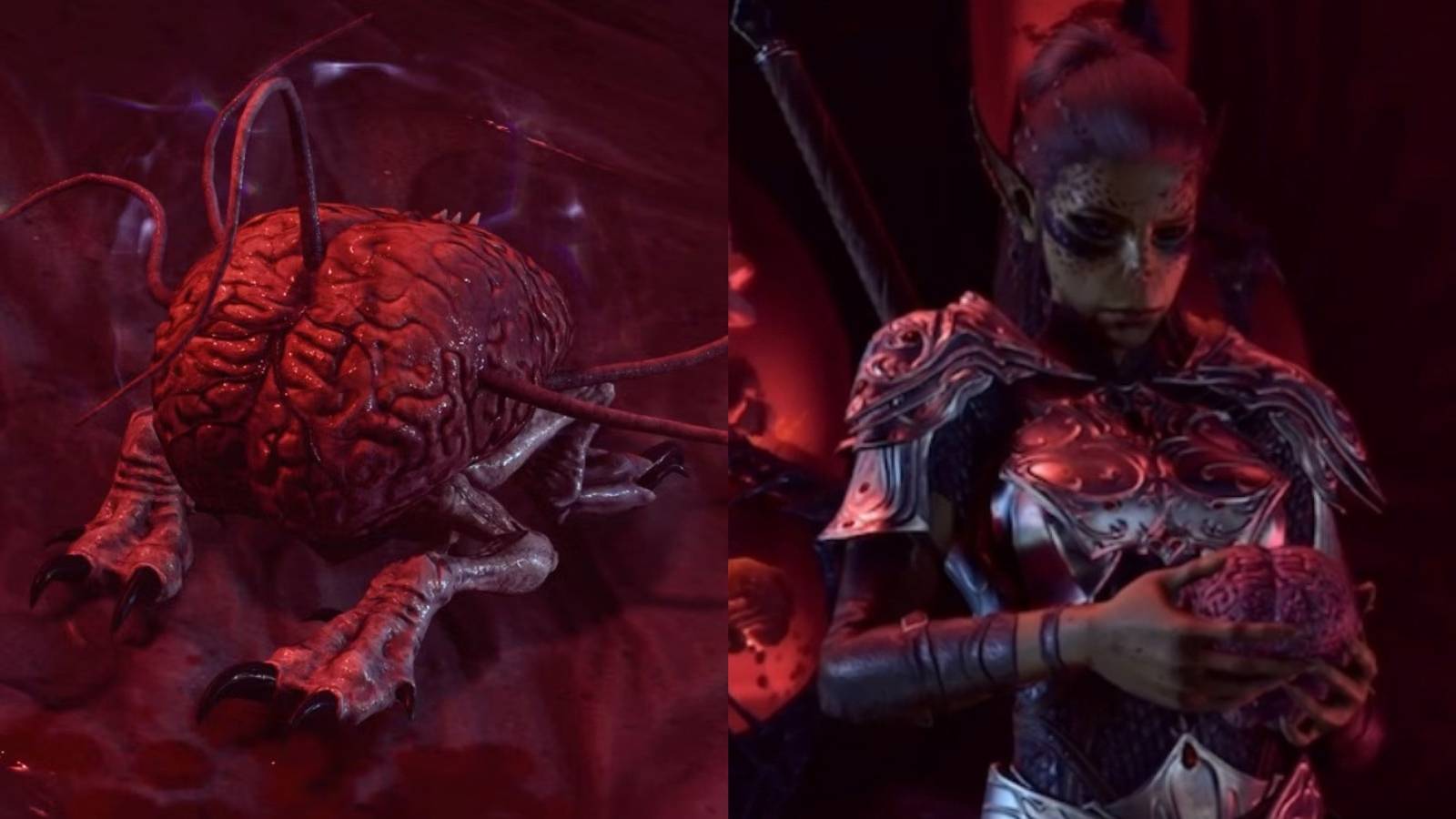 US the brain baldur's gate 3